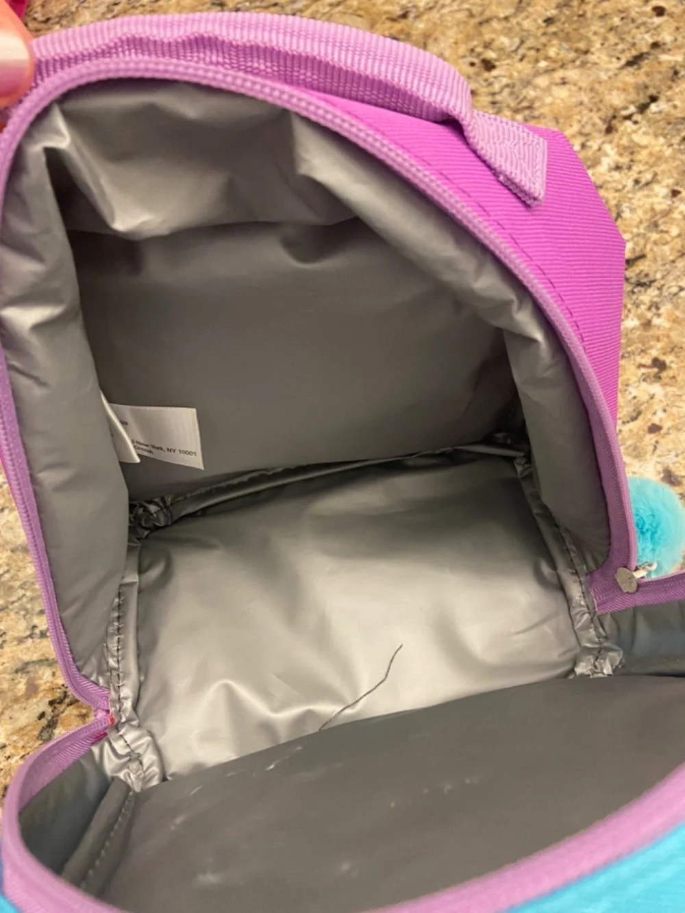 Like new! Disney Frozen  Elsa Anna Insulated Lunch Tote